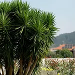 Casa Do Avo * Viana do Castelo