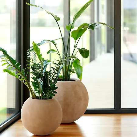 بيت للعطل Casa Do Avo