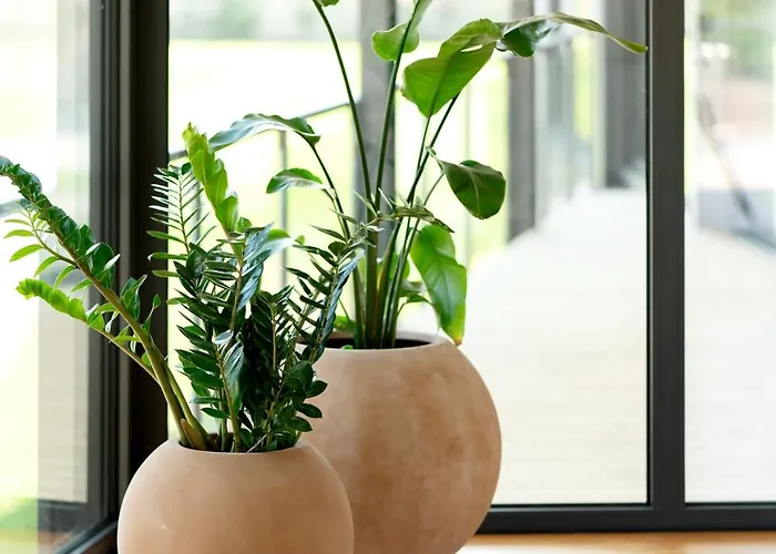 Casa vacanze Casa Do Avo