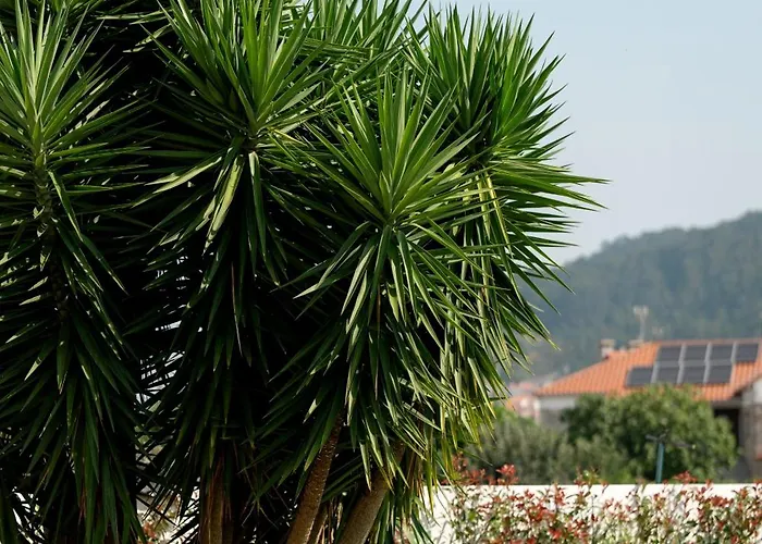 Casa Do Avo * Castelo Do Neiva