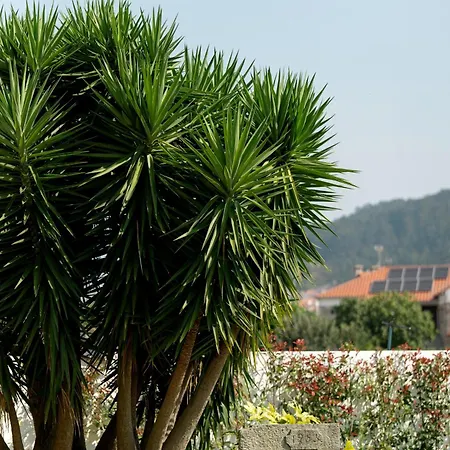 Casa Do Avo * Βιάνα ντο Καστέλο